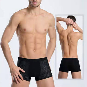 Summer mesh ice silk boxer briefs*